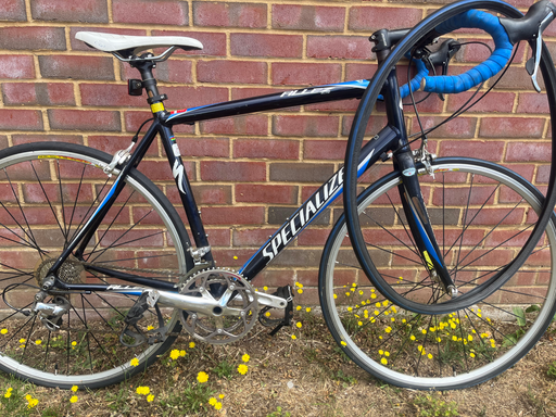 Specialized Allez Comp Road 2026