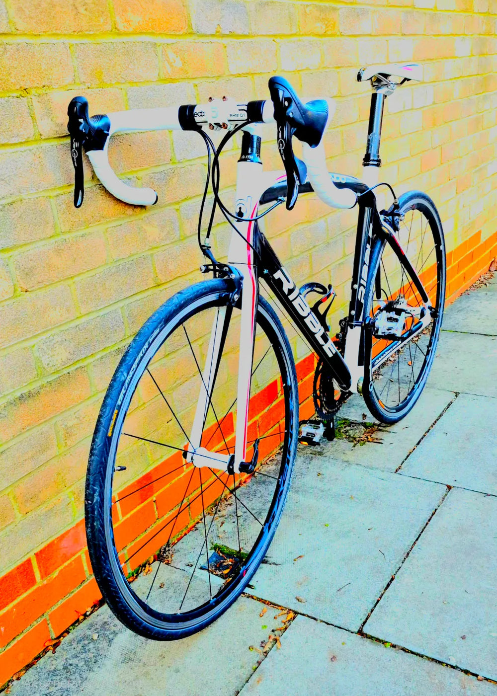 RIBBLE GRAN FONDO CAMPONOLO VELOCE GROUPSET FULL CARBON ROAD BIKE 56CM"22 LG FRAME RIBBLE DEABACCIAI GRAN FONDO FULL CARBON ROAD BIKE 56CM inches22 FRAME  2017
