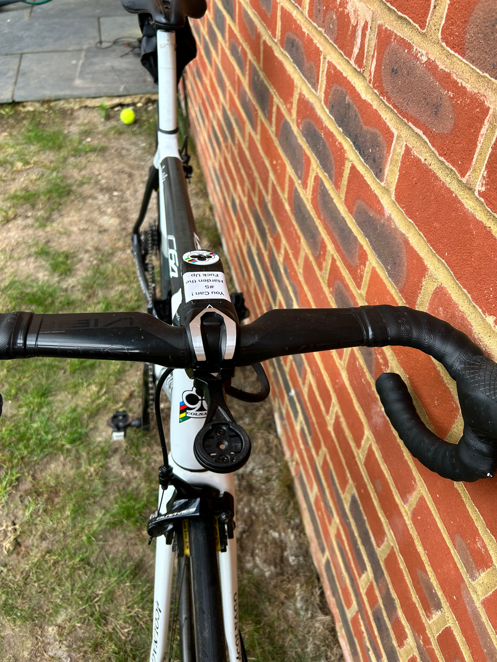 Colnago Pjwh 2021
