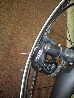 Pinarello Treviso Carbon Disk 2020
