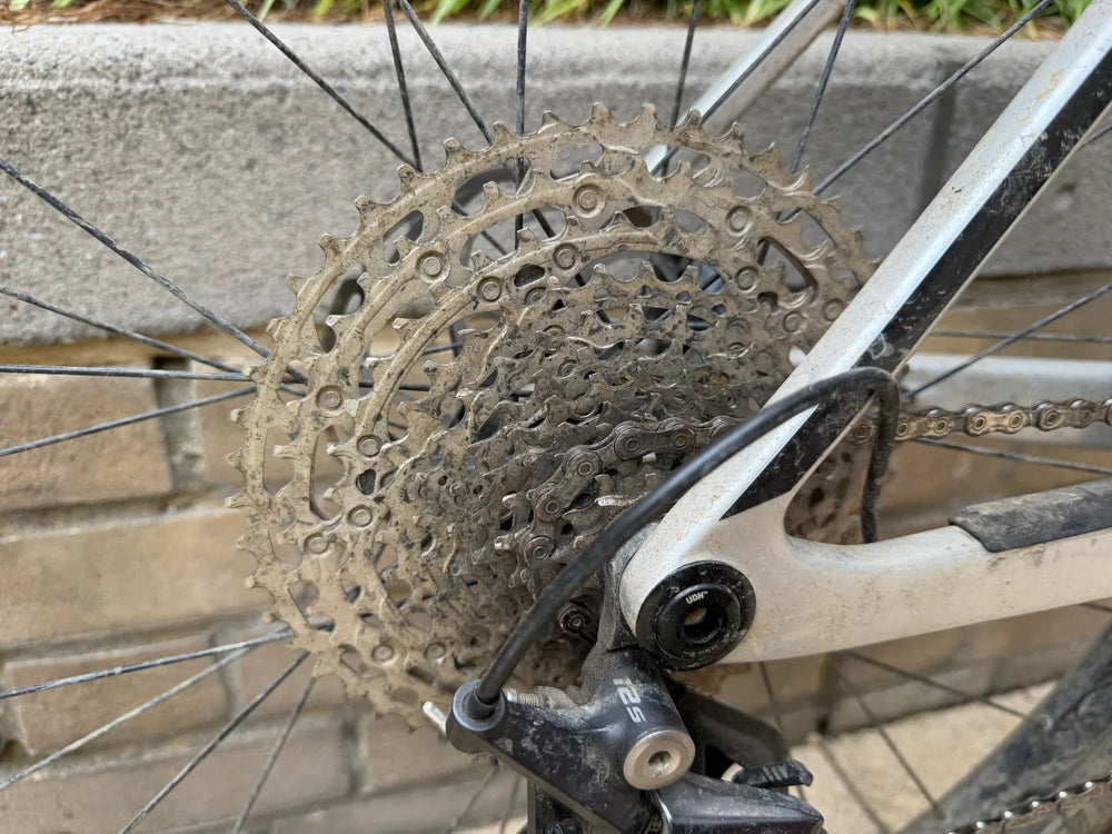 Canyon Exceed CF 5 2023