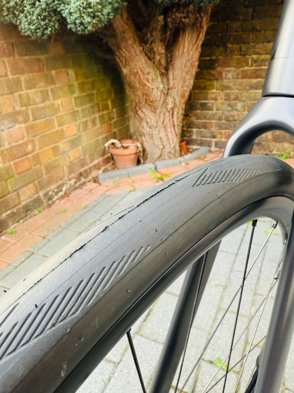 Canyon Endurace CF 7 2024