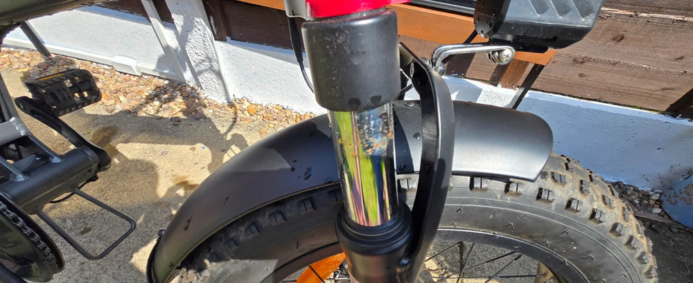 PVY TURBO 2025