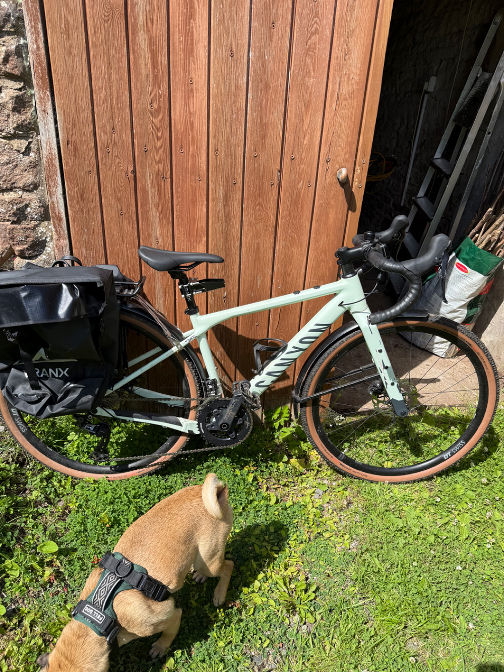 Canyon Grizl CF SL 7 2022
