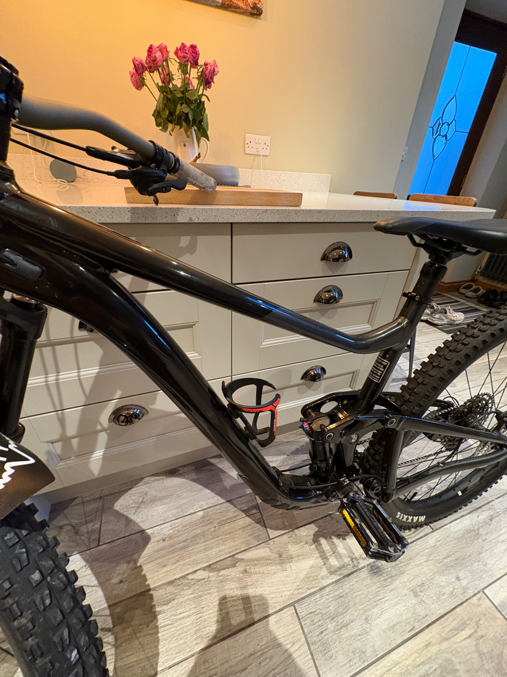 Giant Trance X 29 3 2021