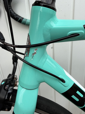 Bianchi Nirone Alu Tiagra 2019
