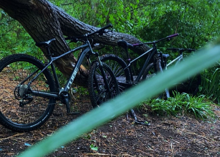 Specialized Rockhopper Expert 2024