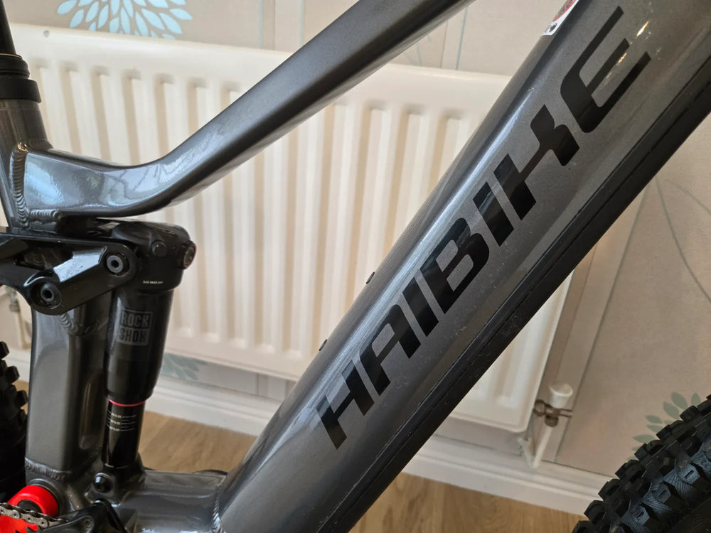 Haibike Allmtn 4 2025