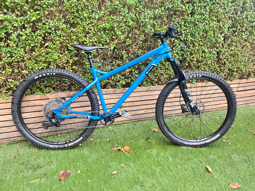 Orange Crush 29 Pro 2020