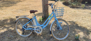 Volt Kensington Step-through E-Bike 2019