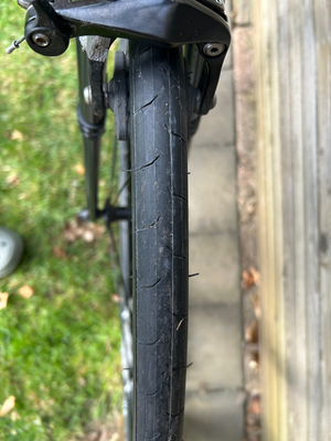 Giant Contend 2 2023