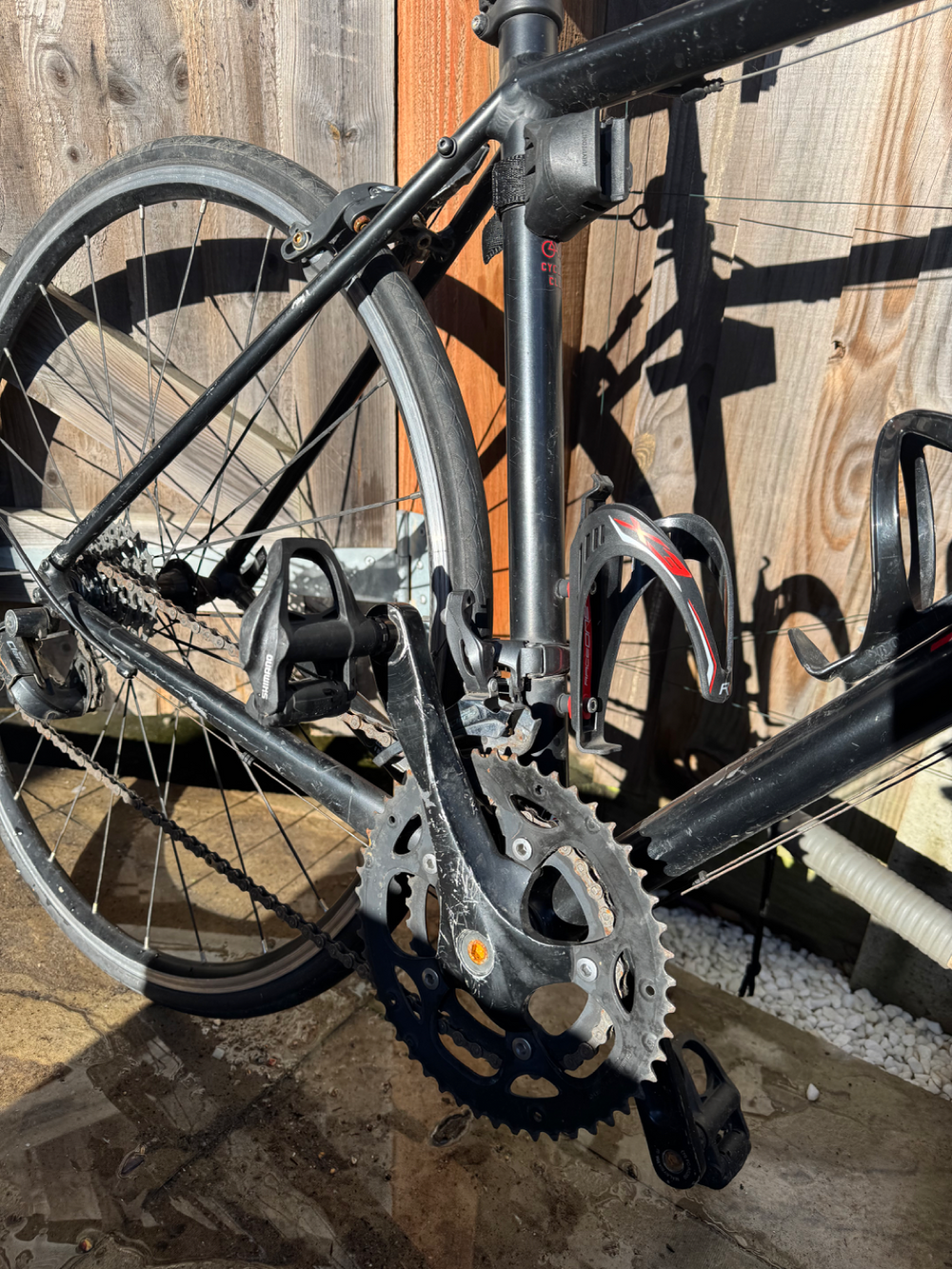 Trek Domane AL 2 2020