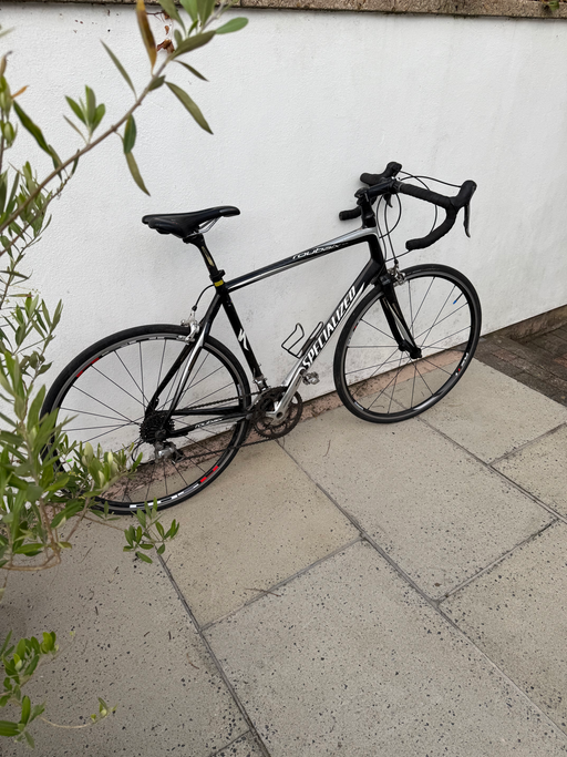 Specialized Roubaix Elite 2010