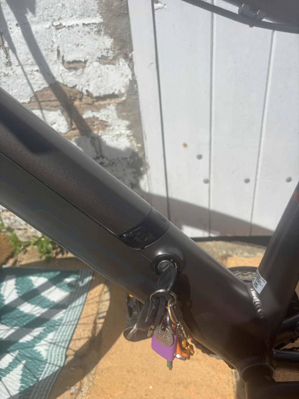 Carrera impel im 2022
