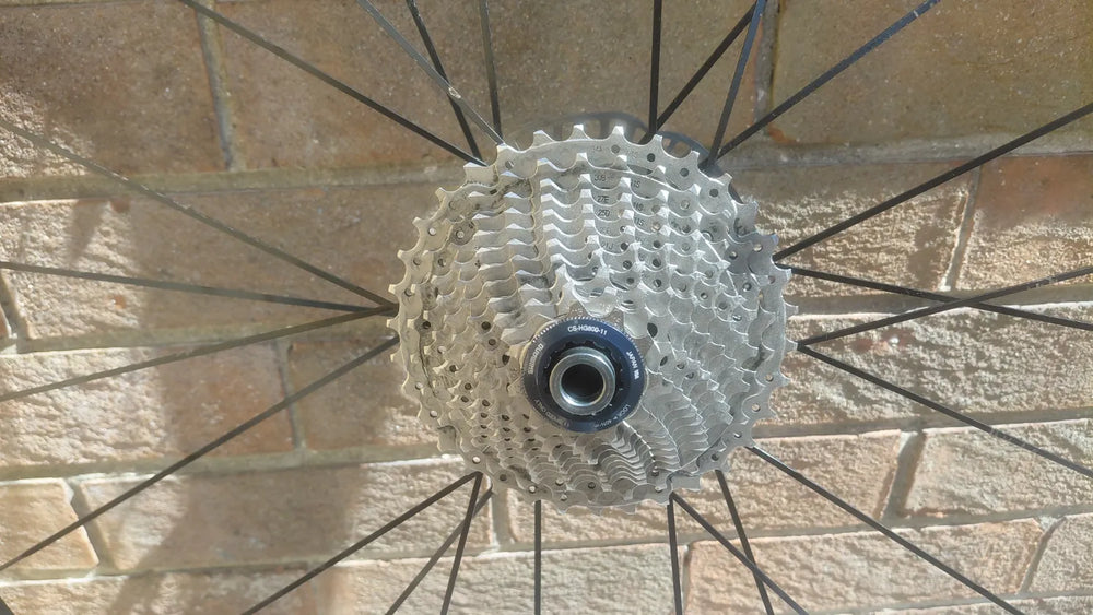 Kuota Kobolt 2019