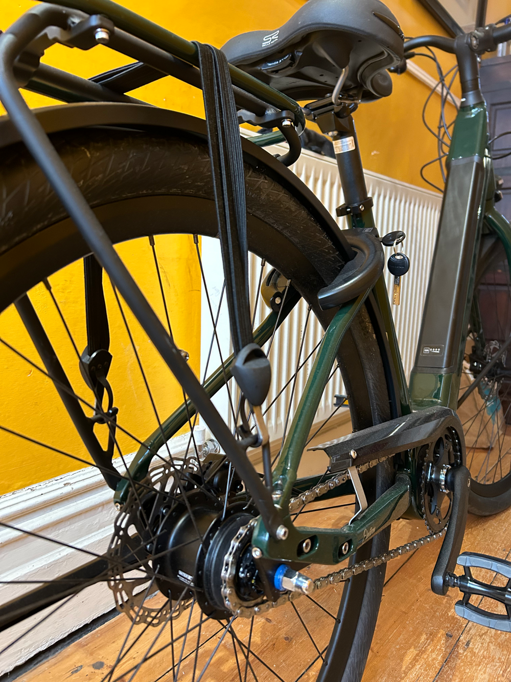 Ridgeback Electron INT 2024