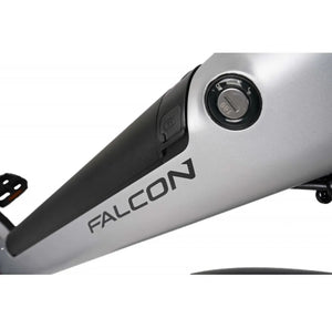 FALCON Horizon 2024