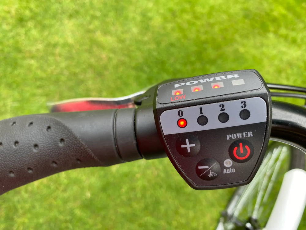 Basis Dorchester 2022