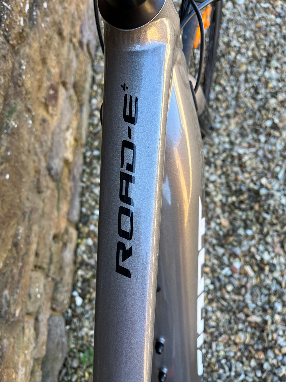 Giant E+2 Pro 2020
