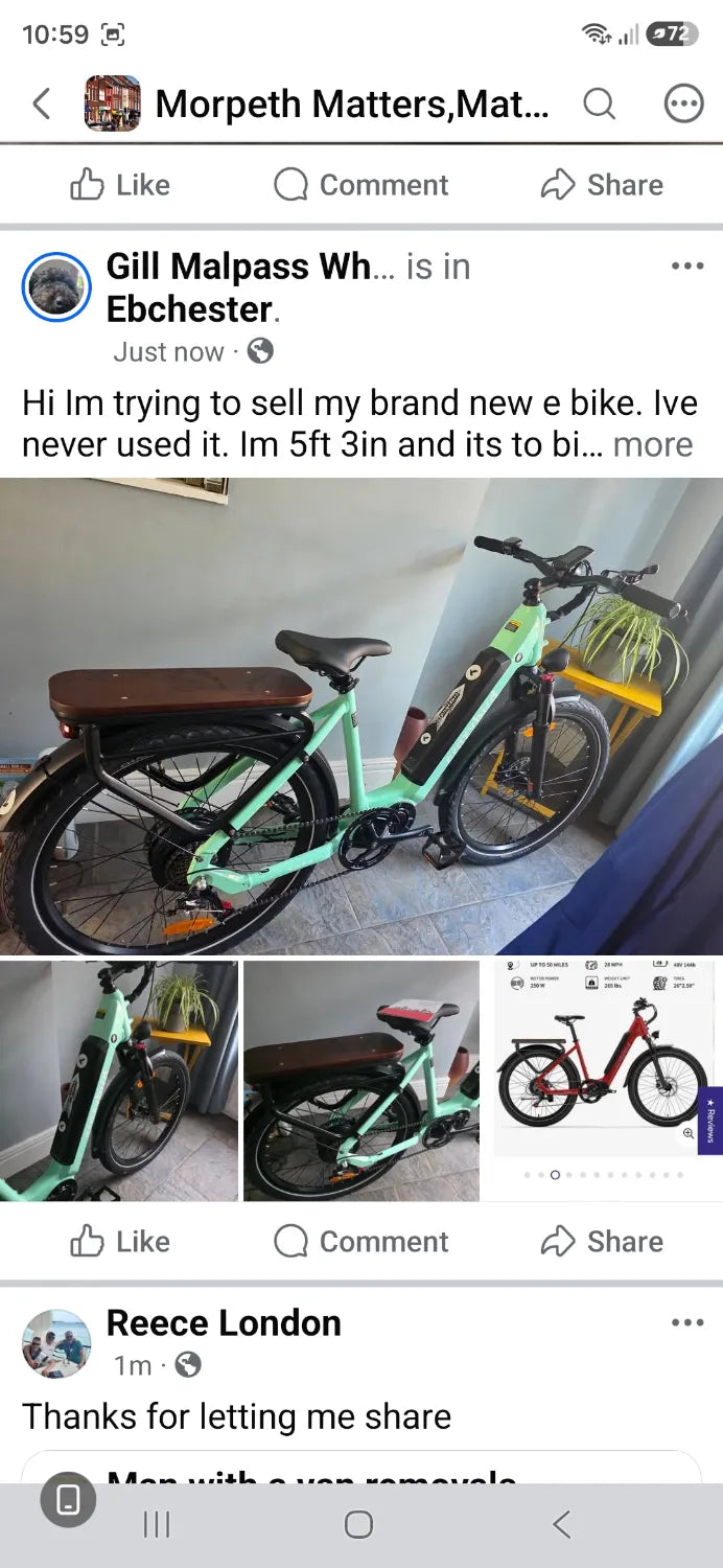 Crazybird Seta Seta 2025