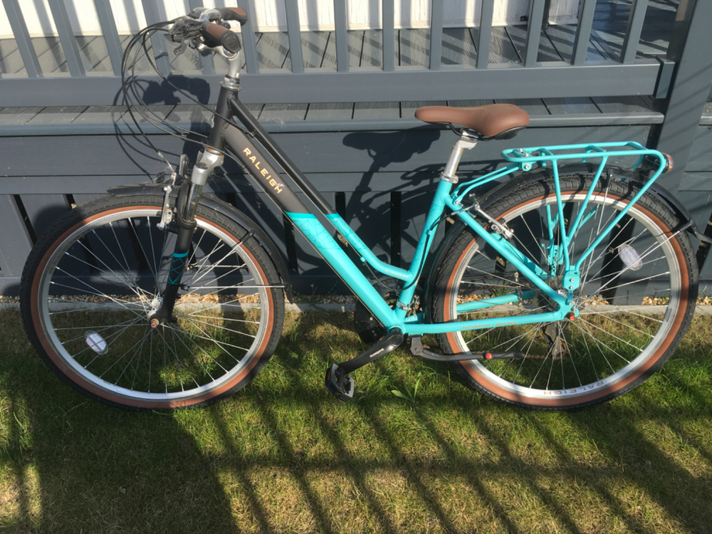 Raleigh Pioneer Low Step Frame 2020