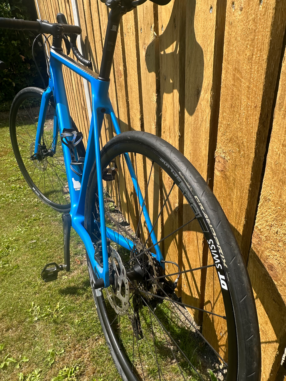 Canyon Endurace CF SL 7 Disc 2022