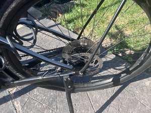 Cannondale Canvas Neo 2 2024