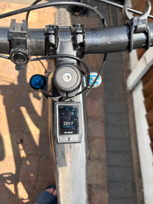 Trek Rail 9.9 2021