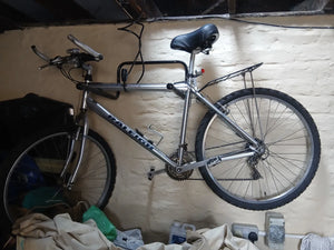 Raleigh Clubman 24