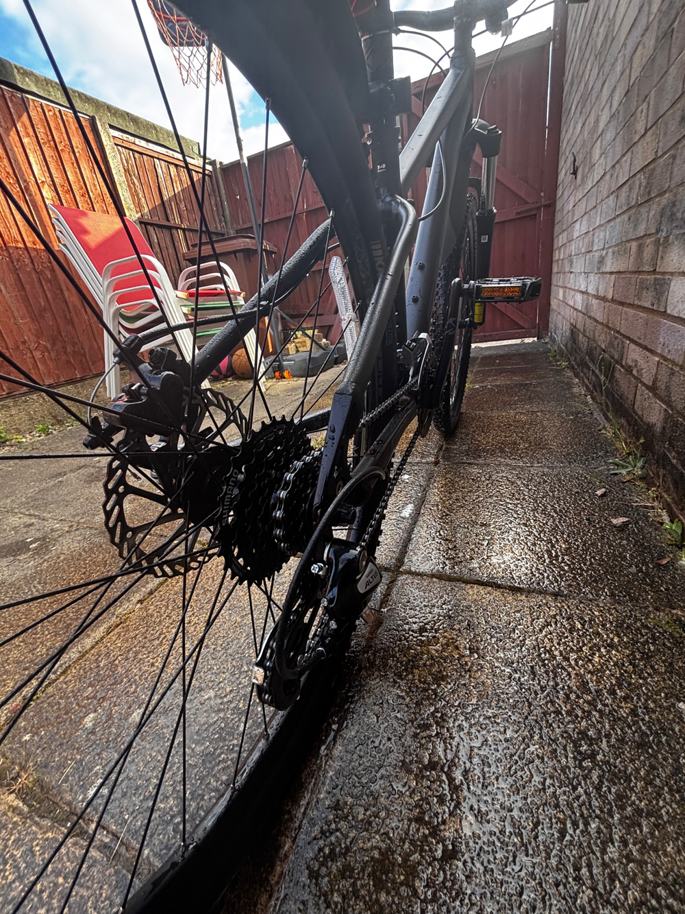 Carrera Vengeance , 2024