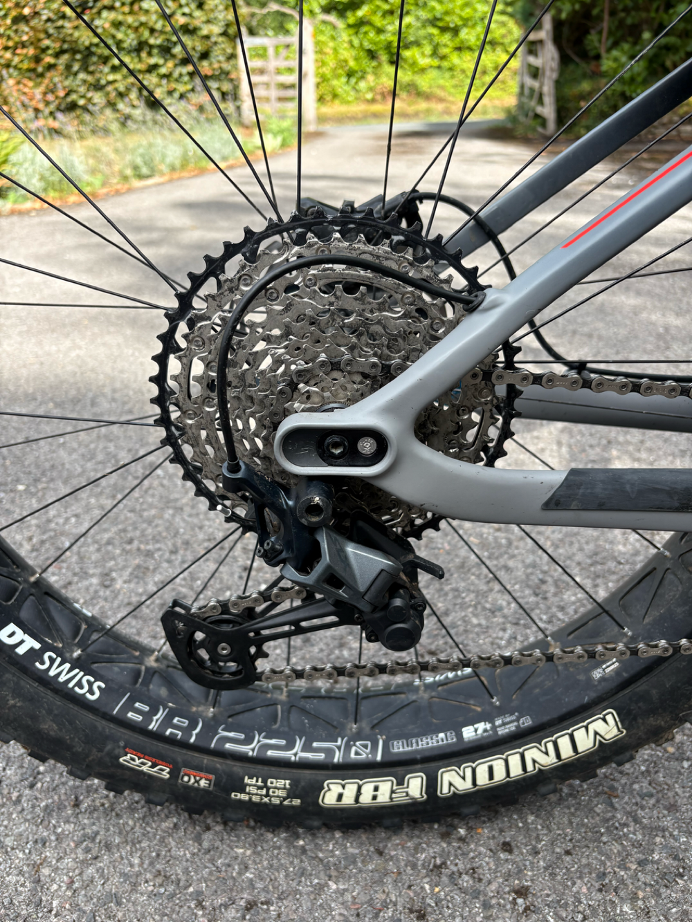 Canyon Dude CF 8 2022