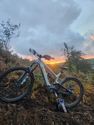 YT Decoy Shred 2019