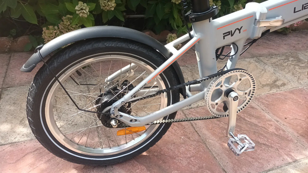 PVY LIBON 2024