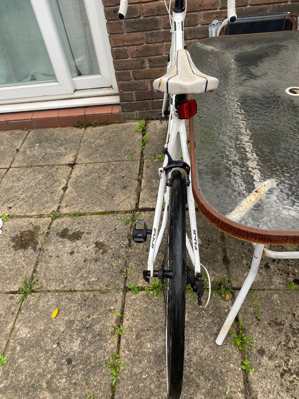 Fuji Sportif 2.3 2022