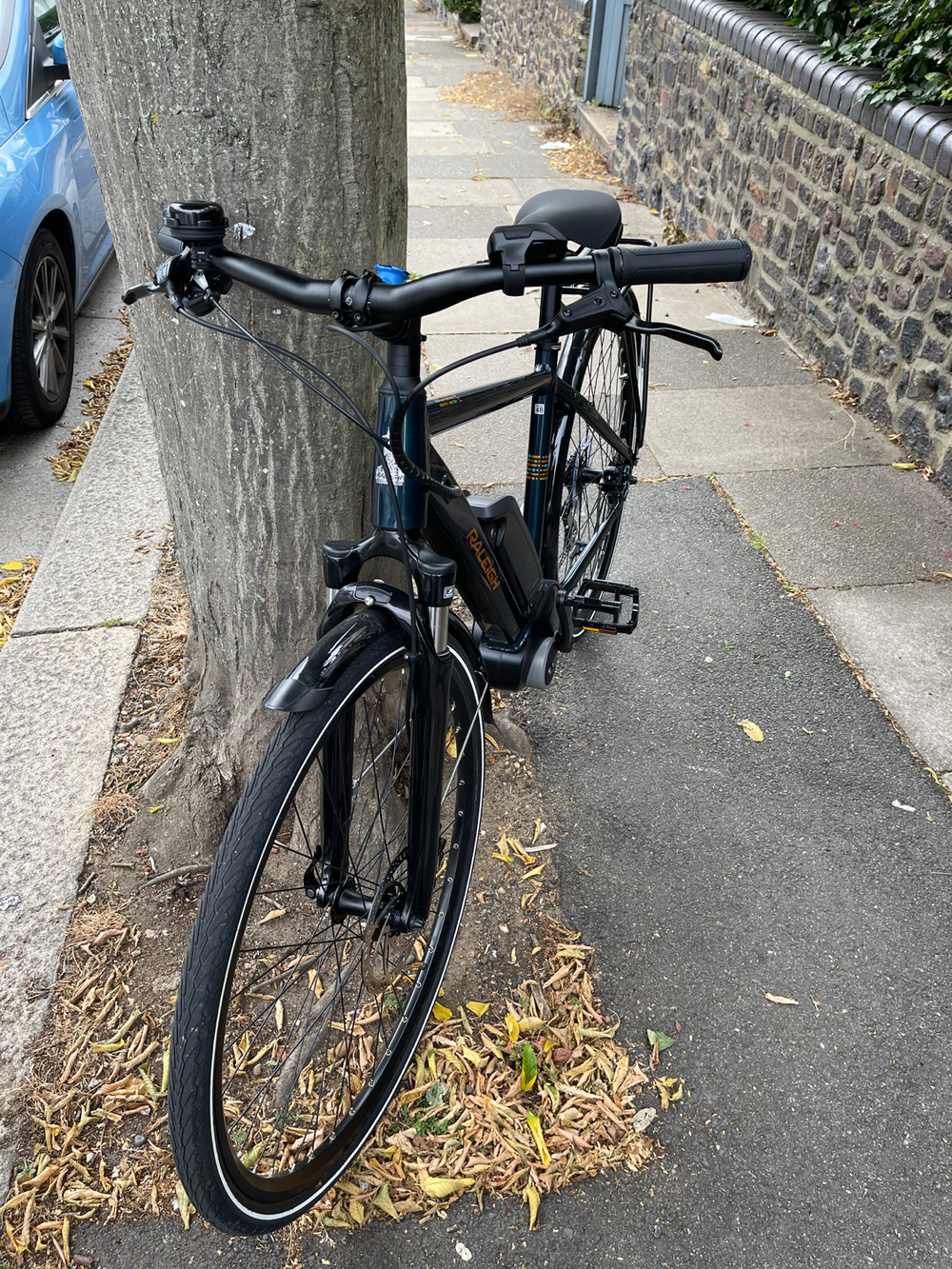 Raleigh Motus Crossbar Electric Hybrid 2020