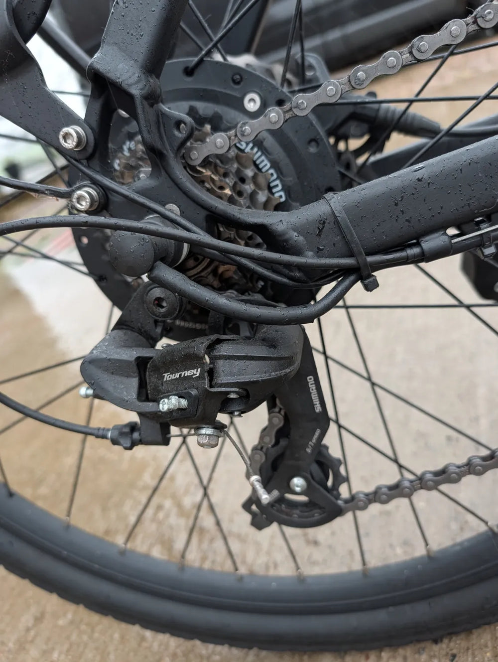 Allegro E-BIKE 2024 TDL6131 2024