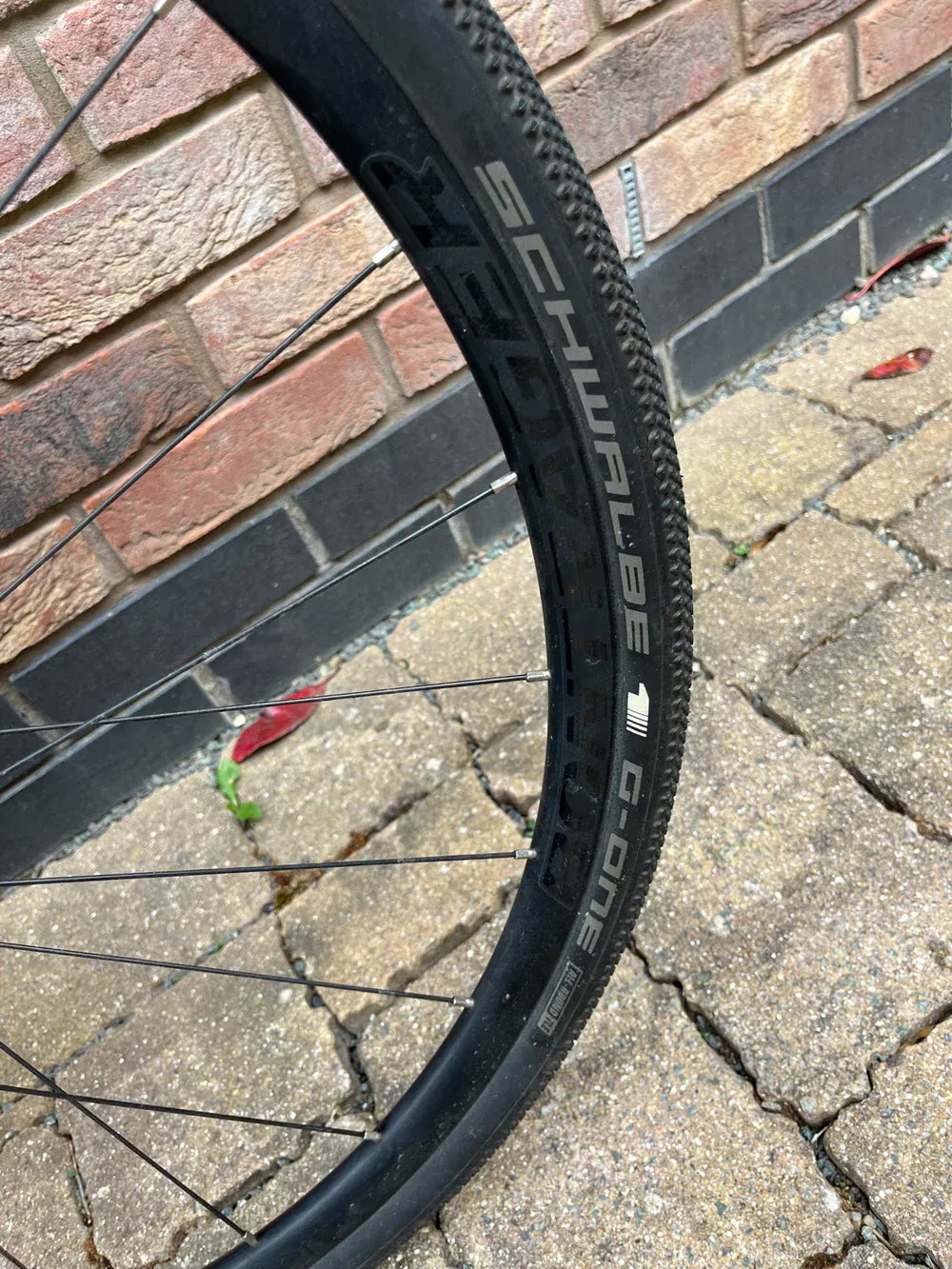 Trek Domane+ 2019