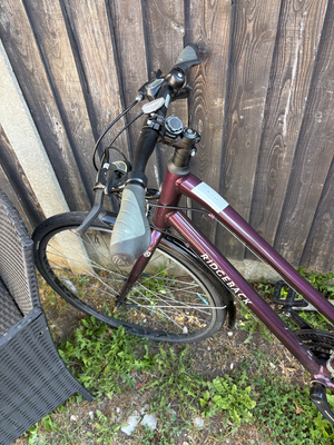 Ridgeback Velocity 2021