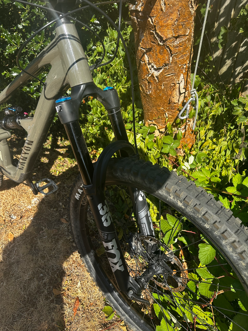 Canyon Spectral 29 6 2022