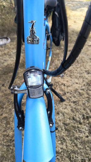 Raleigh Array BS EN 15194