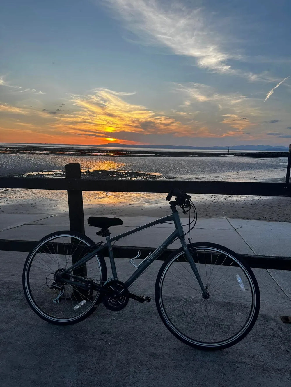 Ridgeback velocity 2022