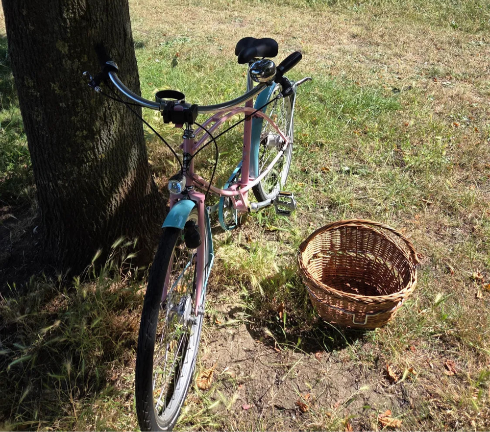 Pashley Parabike 2020