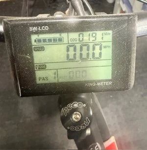 Roodog Tourer 2021