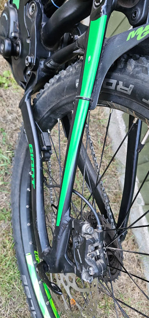 Giant Full-E+ 2
