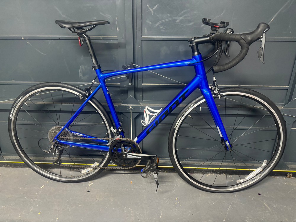 Giant Contend 2 2020