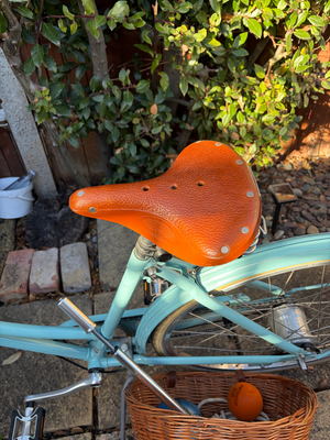 Pashley Britannia 5 Speed