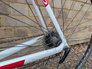 Basso Venta Rim 2018