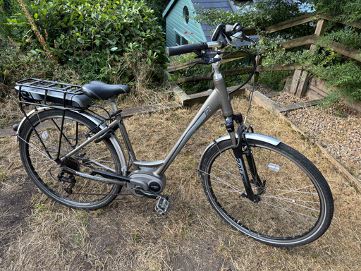 Raleigh Captus Mid-Step 2025