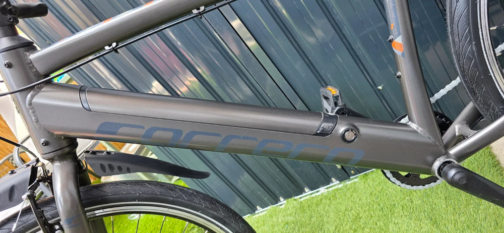 Carrera impel im 2022