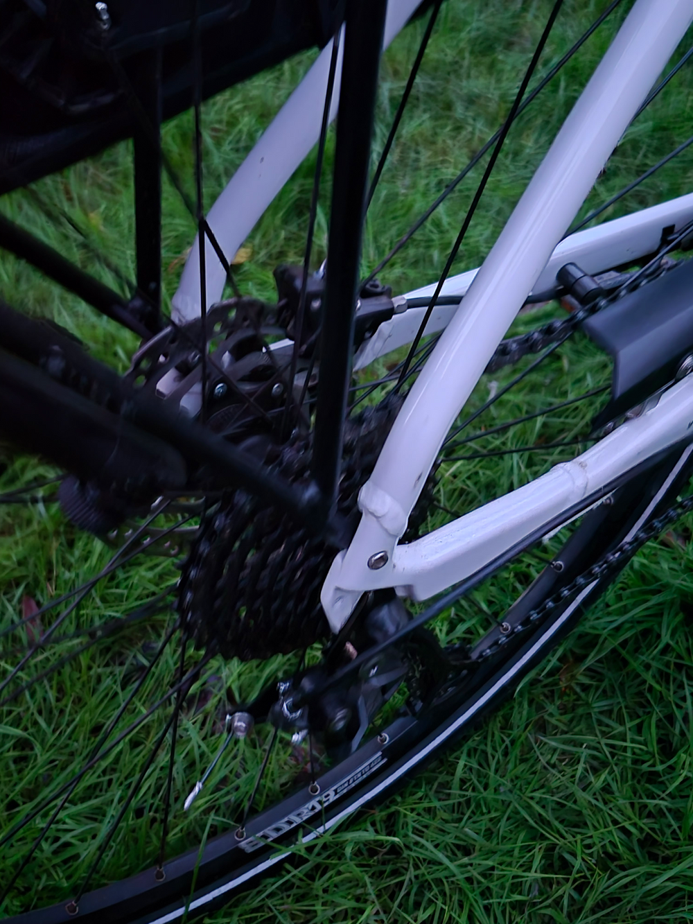 ORTLER (Germany) Ortler Bozen Wave 2021